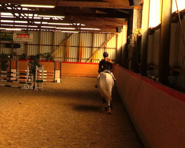 Reitturnier Groß Schönebeck - Reitstall Böse 2018