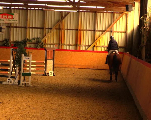 Reitturnier Groß Schönebeck - Reitstall Böse 2018