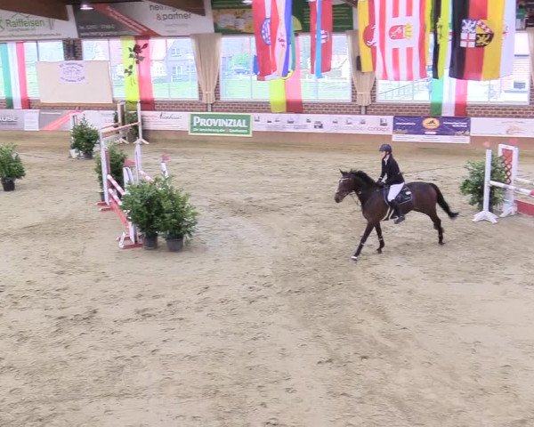 Reitturnier Seppenrade 2018
