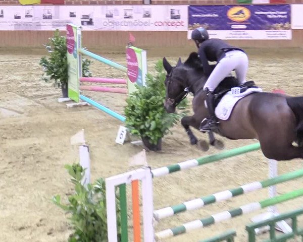 Reitturnier Seppenrade 2018