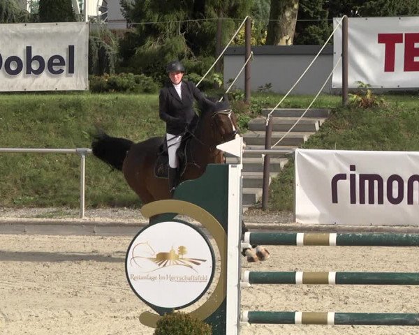 Reitturnier Durmersheim-Hardt 2021