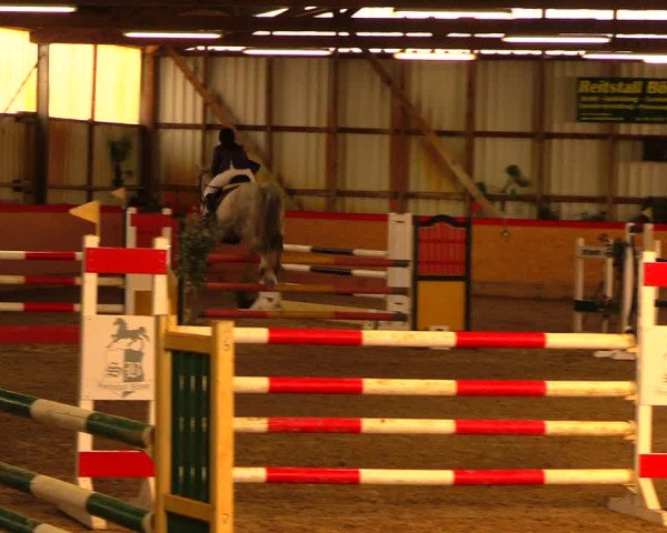 Reitturnier Groß Schönebeck - Reitstall Böse 2018