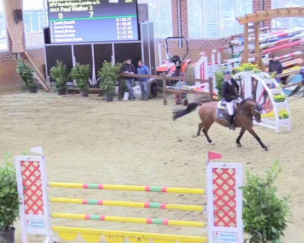 Reitturnier Seppenrade 2018
