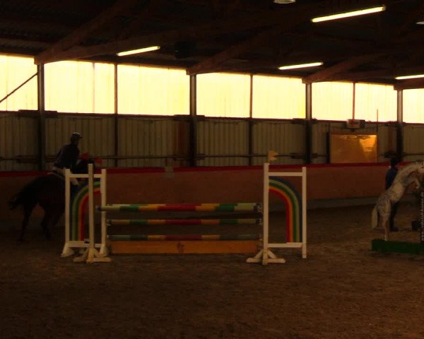 Reitturnier Groß Schönebeck - Reitstall Böse 2018