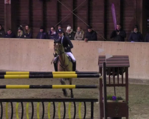 Reitturnier Mannheim-Neckarau 2018