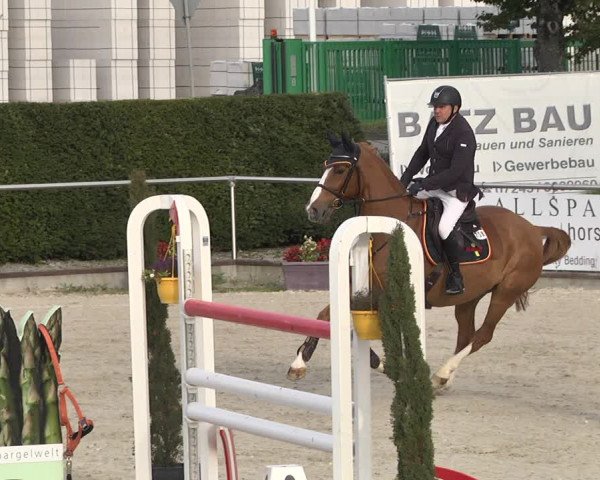 Reitturnier Durmersheim-Hardt 2021