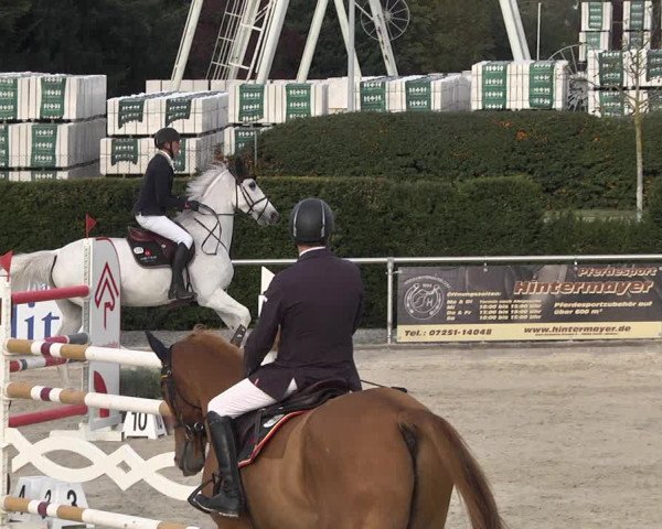 Reitturnier Durmersheim-Hardt 2021