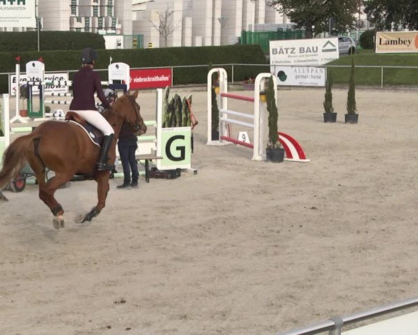 Reitturnier Durmersheim-Hardt 2021