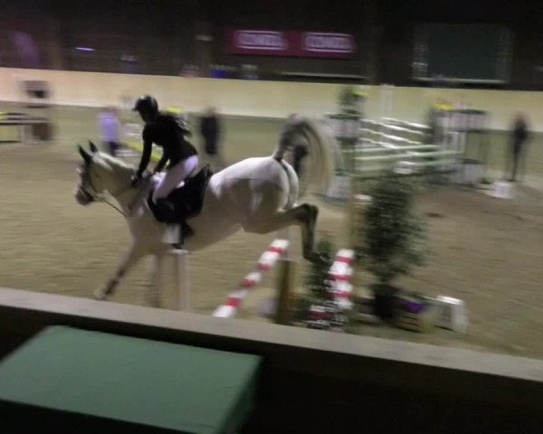 Reitturnier Mannheim-Neckarau 2018