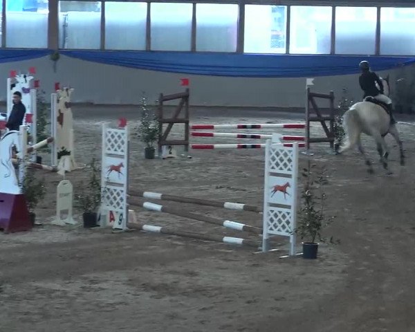 15. Hallenconcours Sulgen 2018