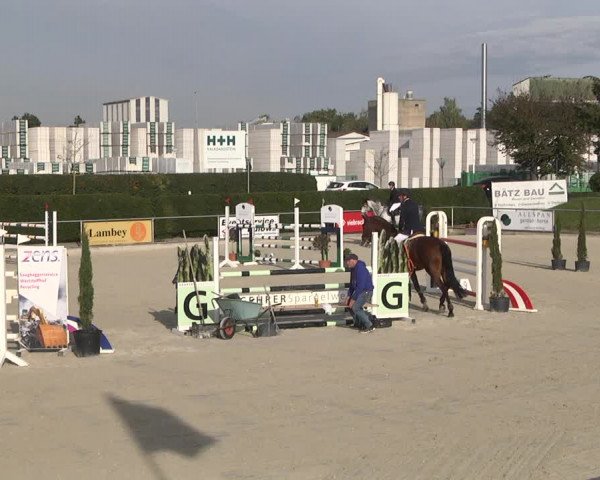Reitturnier Durmersheim-Hardt 2021