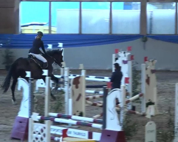 15. Hallenconcours Sulgen 2018