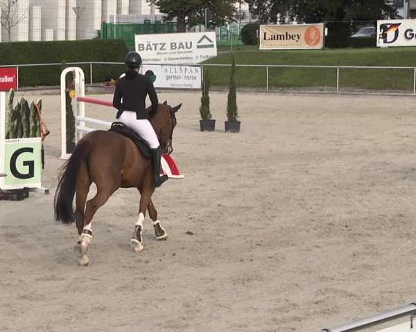 Reitturnier Durmersheim-Hardt 2021