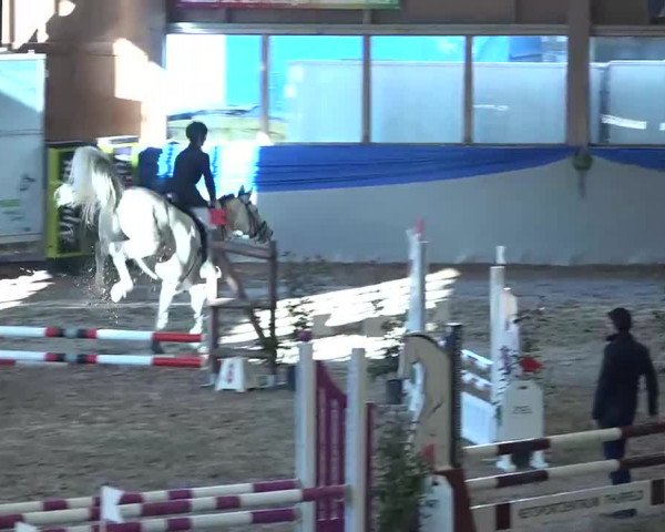 15. Hallenconcours Sulgen 2018
