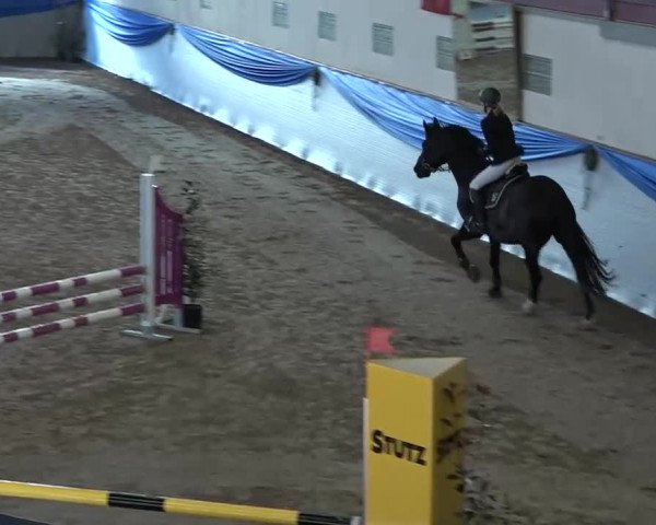 15. Hallenconcours Sulgen 2018