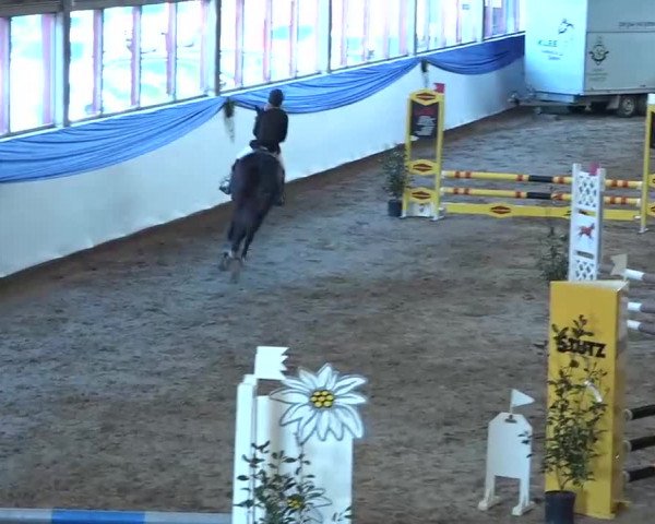 15. Hallenconcours Sulgen 2018