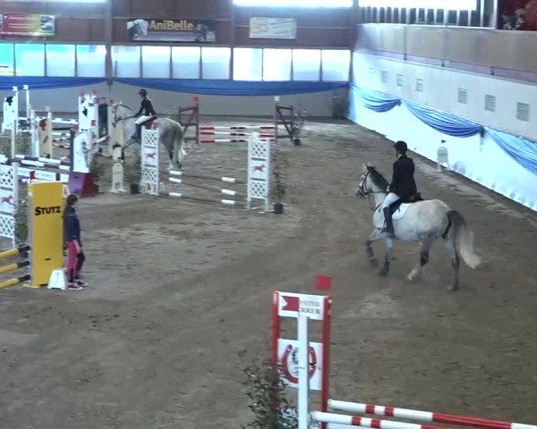 15. Hallenconcours Sulgen 2018