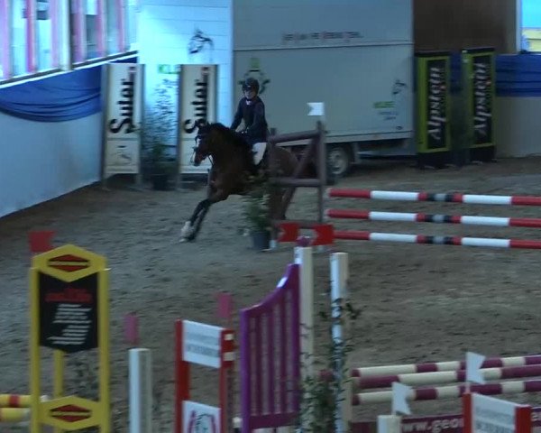 15. Hallenconcours Sulgen 2018