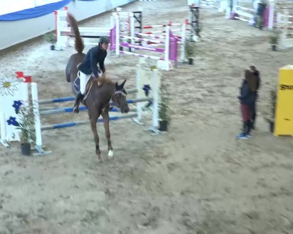15. Hallenconcours Sulgen 2018