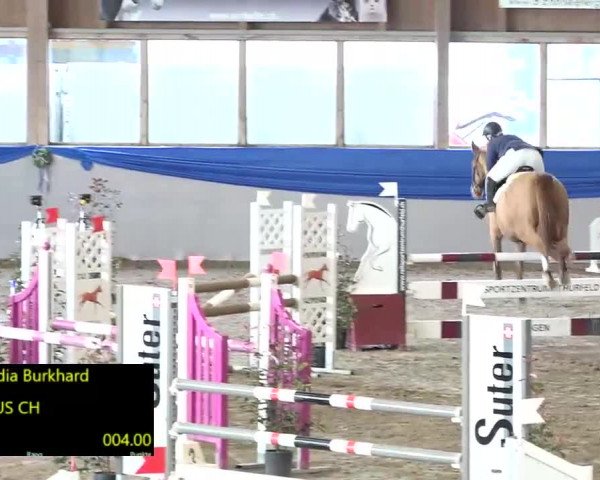 15. Hallenconcours Sulgen 2018