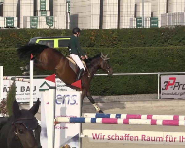 Reitturnier Durmersheim-Hardt 2021