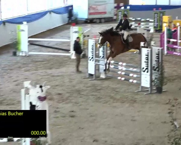 15. Hallenconcours Sulgen 2018