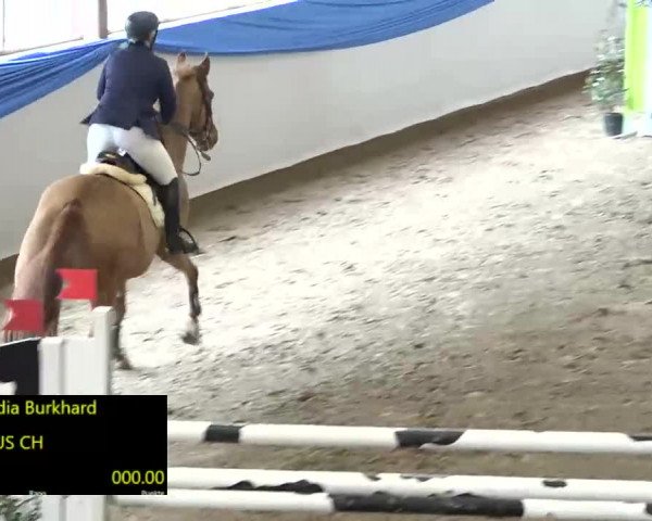 15. Hallenconcours Sulgen 2018