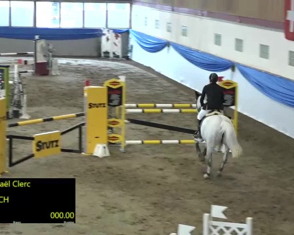 15. Hallenconcours Sulgen 2018