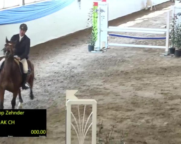 15. Hallenconcours Sulgen 2018