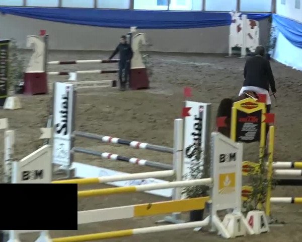 15. Hallenconcours Sulgen 2018