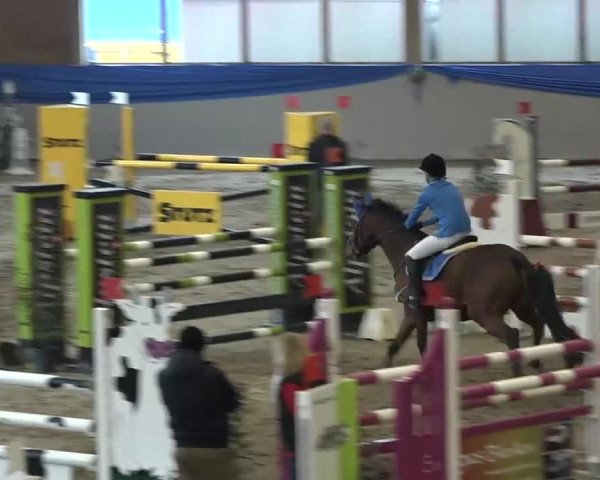 15. Hallenconcours Sulgen 2018