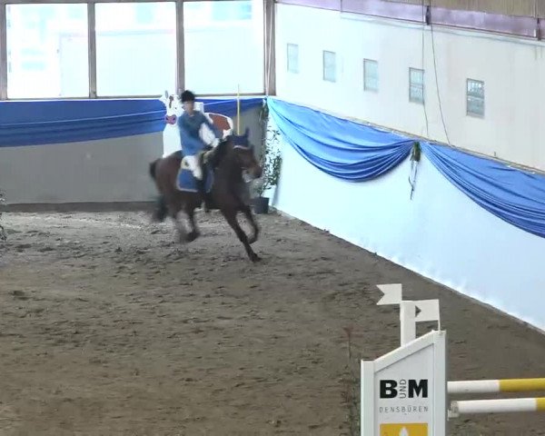 15. Hallenconcours Sulgen 2018