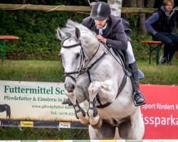 jumper Crispin Cornet (German Sport Horse, 2003, from Cornet Obolensky)