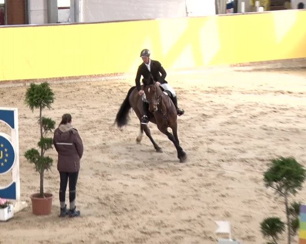 Reitturnier Prussendorf 2018