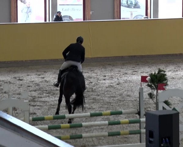 Reitturnier Prussendorf 2018