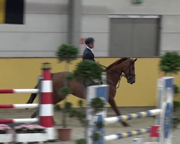Reitturnier Prussendorf 2018