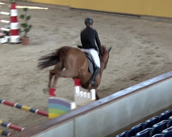 Reitturnier Prussendorf 2018