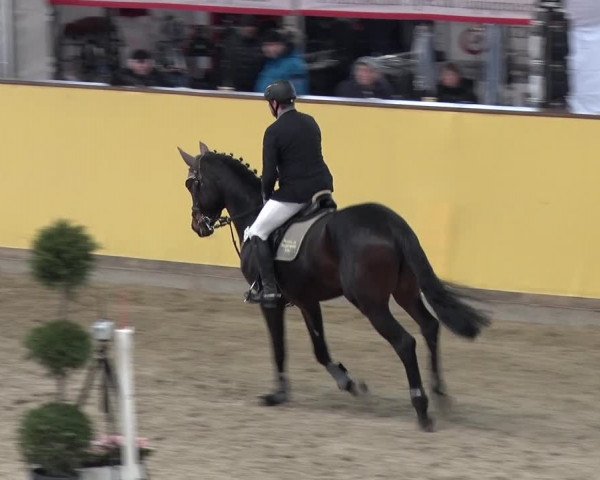 Reitturnier Prussendorf 2018