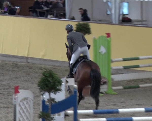 Reitturnier Prussendorf 2018