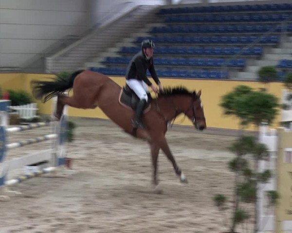 Reitturnier Prussendorf 2018
