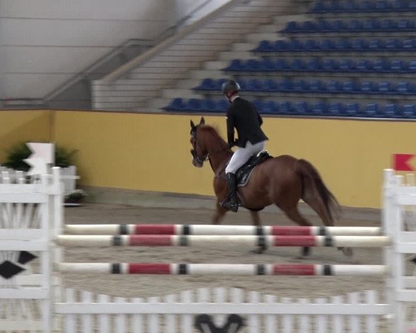 Reitturnier Prussendorf 2018