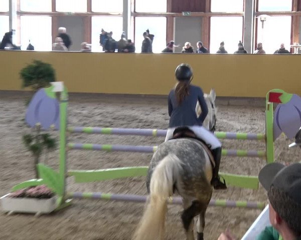 Reitturnier Prussendorf 2018