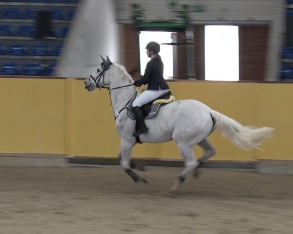 Reitturnier Prussendorf 2018