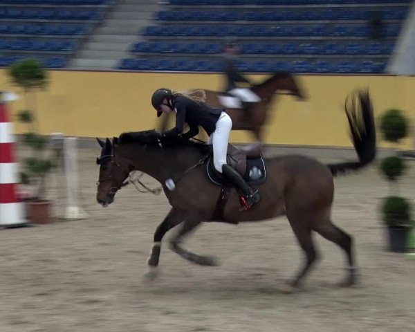 Reitturnier Prussendorf 2018