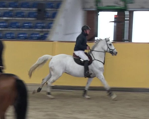 Reitturnier Prussendorf 2018