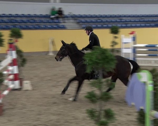 Reitturnier Prussendorf 2018