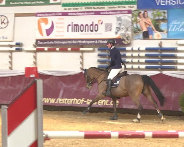 Reitturnier Eicherloh 2018