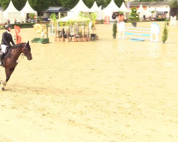 Equus Colonius - Reitanlage Brüse Köln 2021