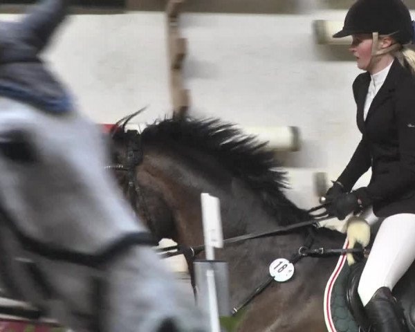 Reitturnier Eicherloh 2018