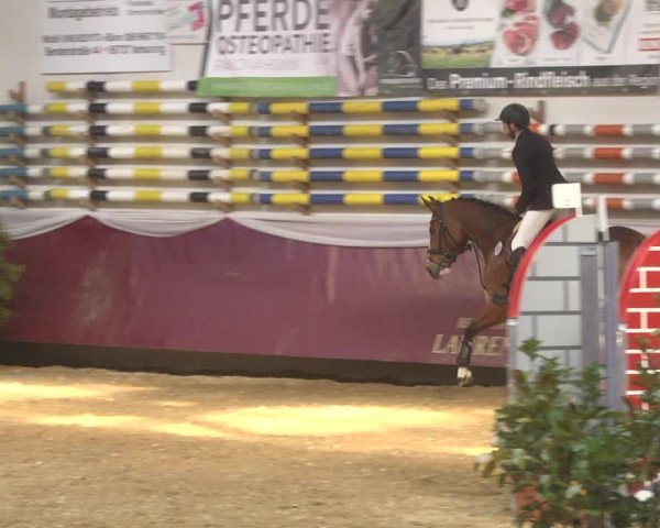 Reitturnier Eicherloh 2018
